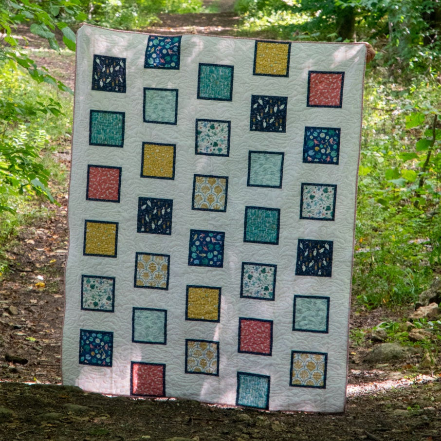Peter's Pictures Beginner Quilt Pattern