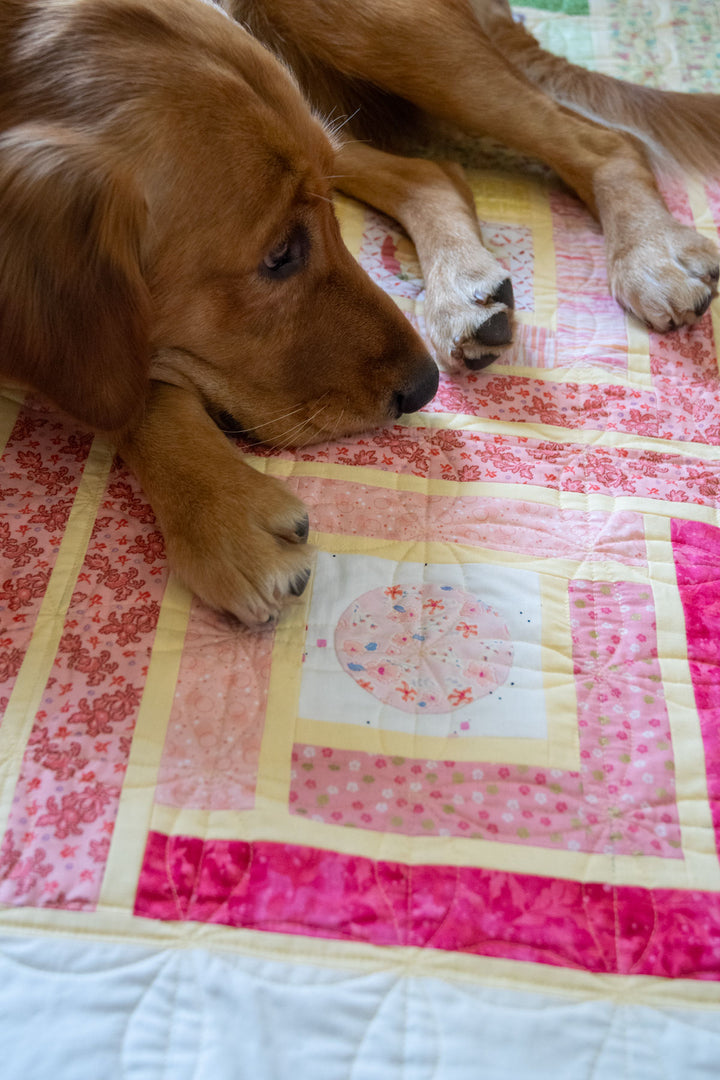 Frank's Cabin Quilt Pattern - printed